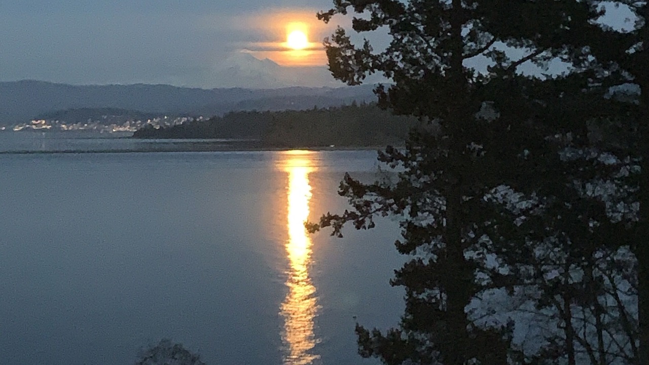 Photo of Others in Lummi Island