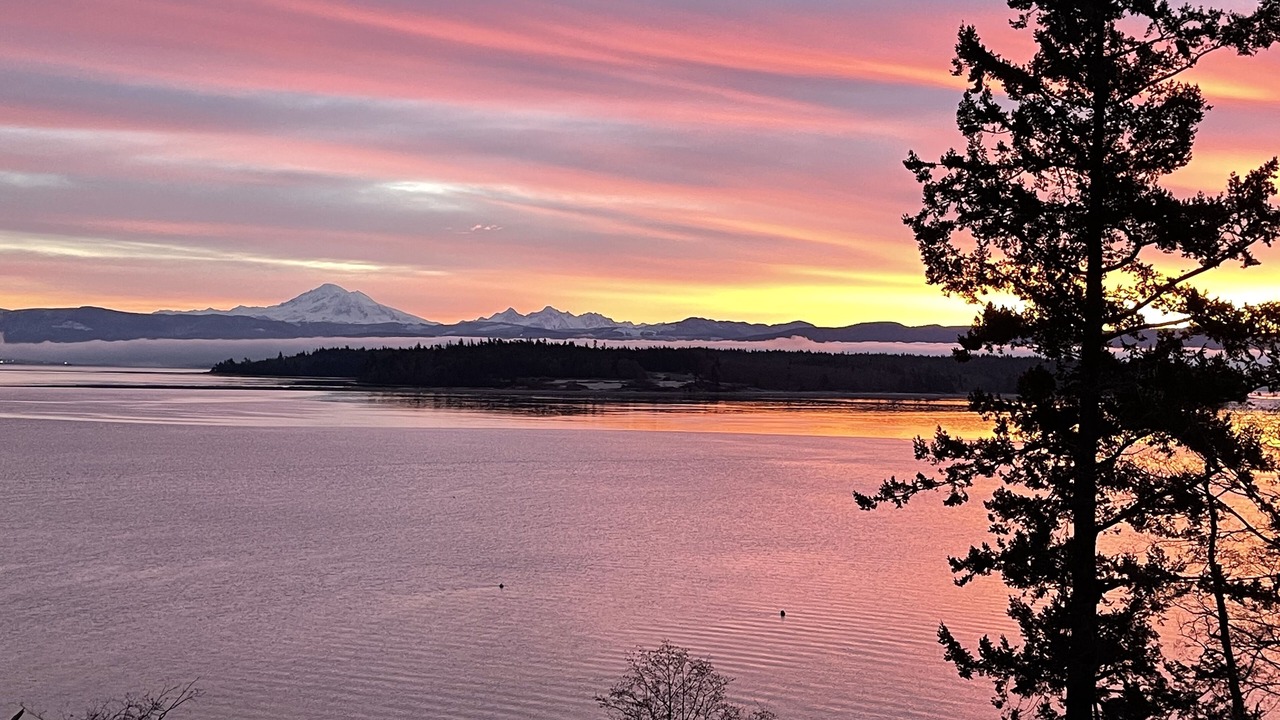 Photo of Others in Lummi Island