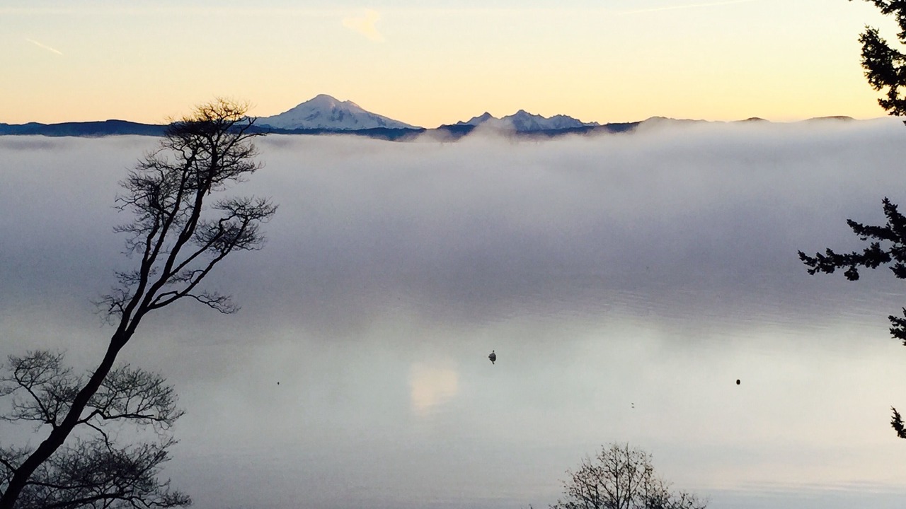 Photo of Others in Lummi Island