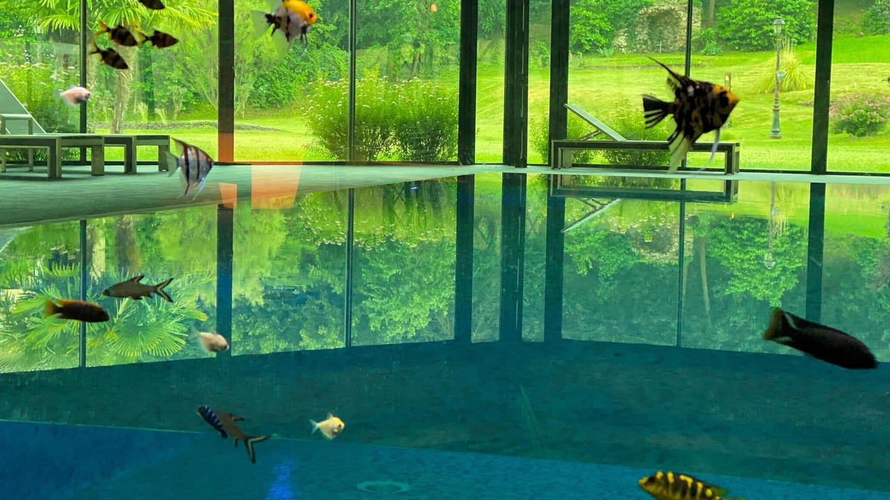 Photo of Outdoor in Saint-Affrique