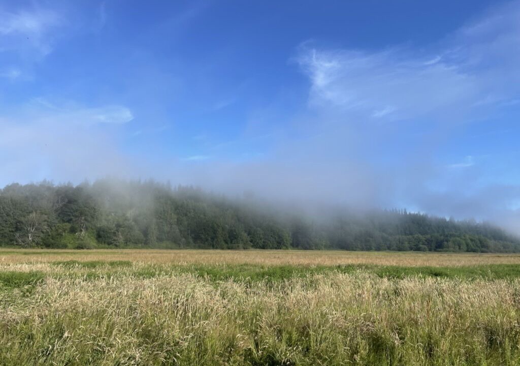 Photo of Others in Camano Island