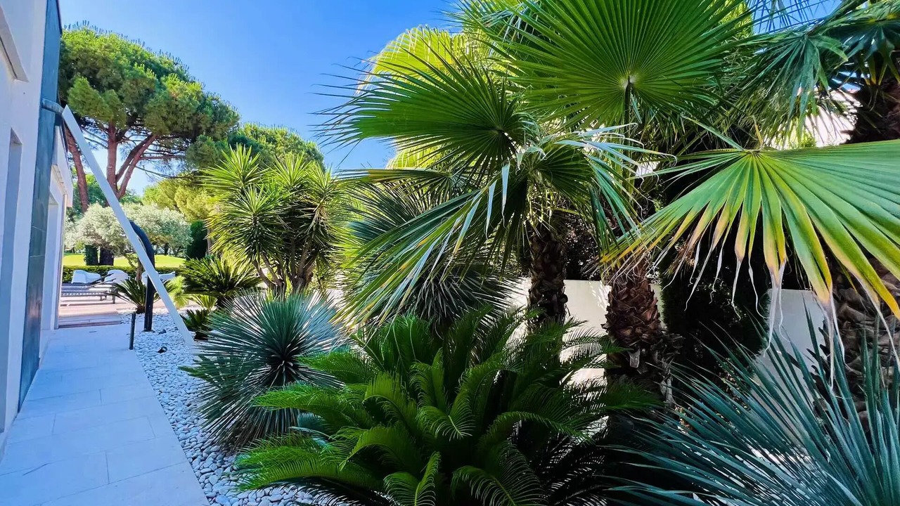 Photo of Outdoor in La Grande-Motte