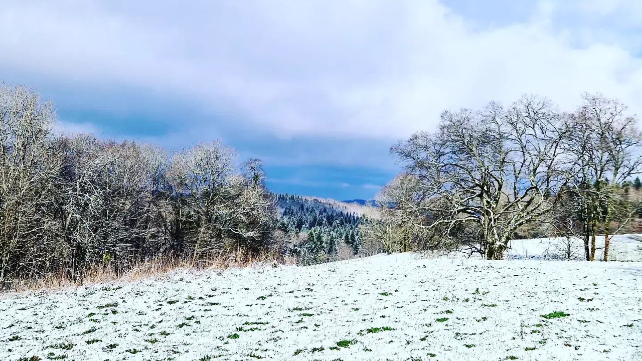 Photo of Others in Voiteur