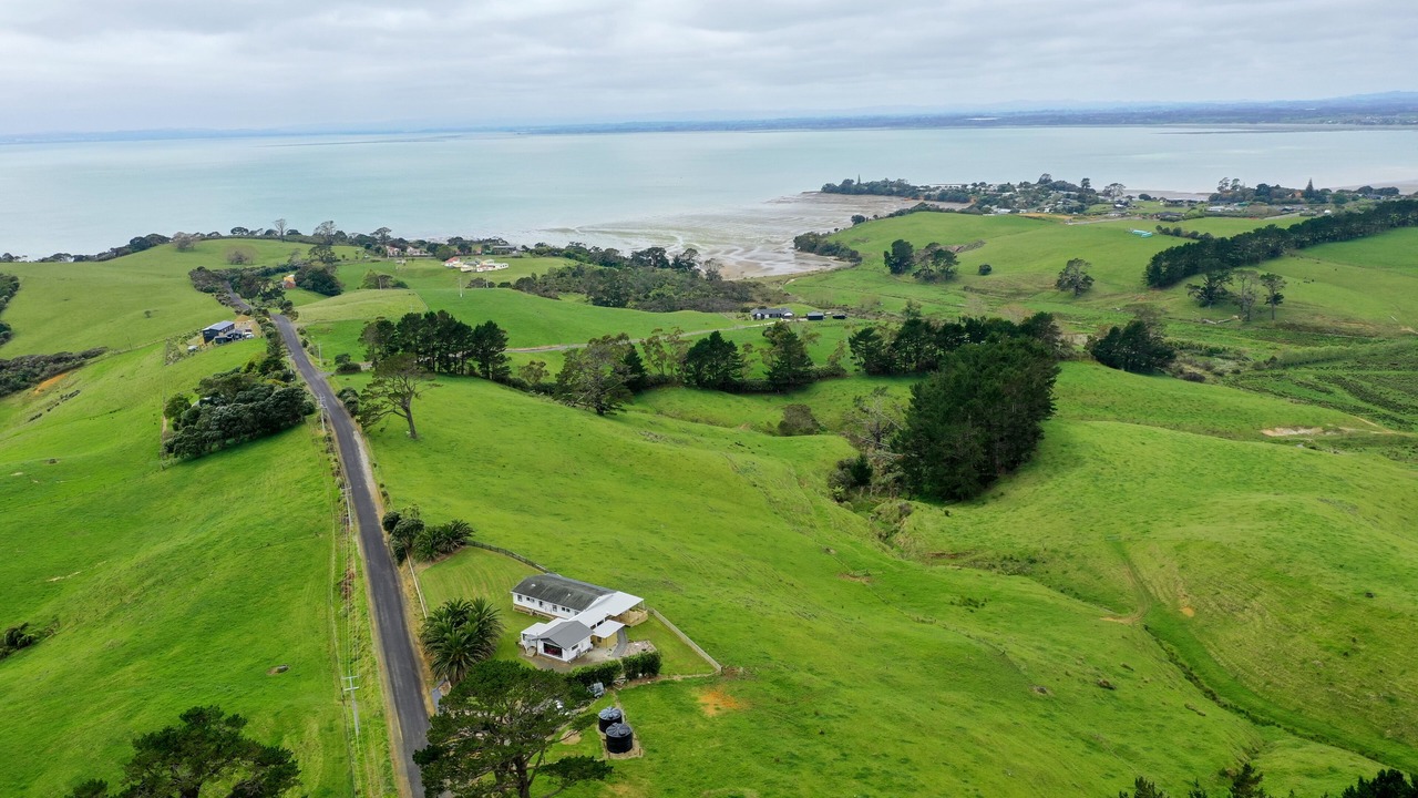Photo of Outdoor in Awhitu