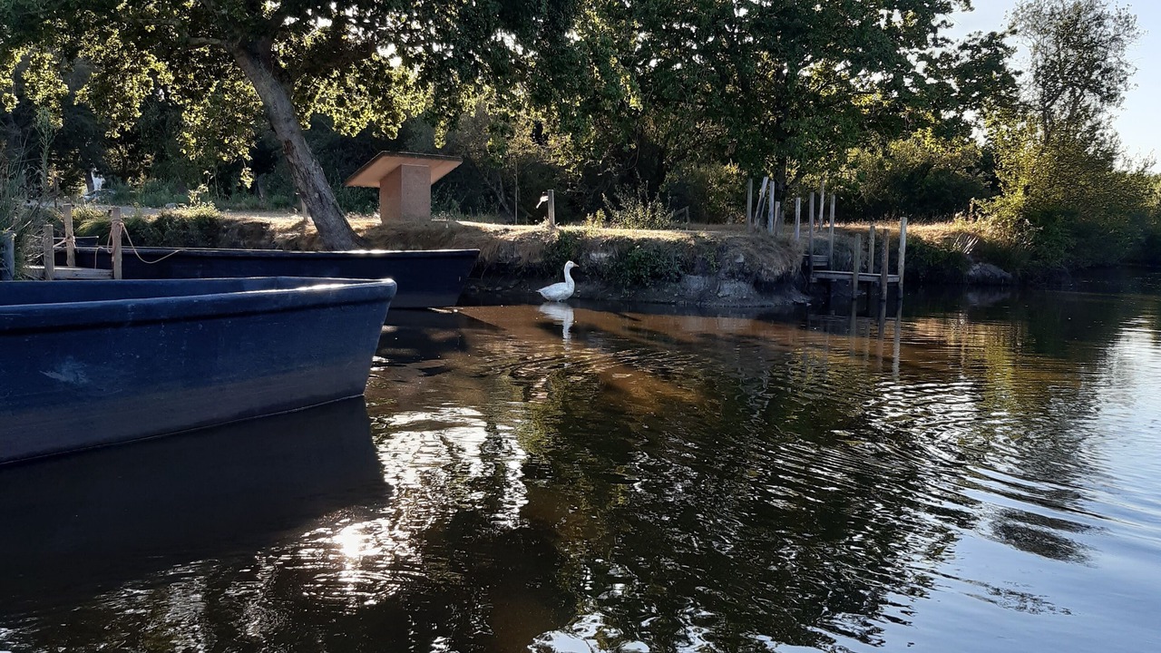 Photo of Outdoor in Missillac