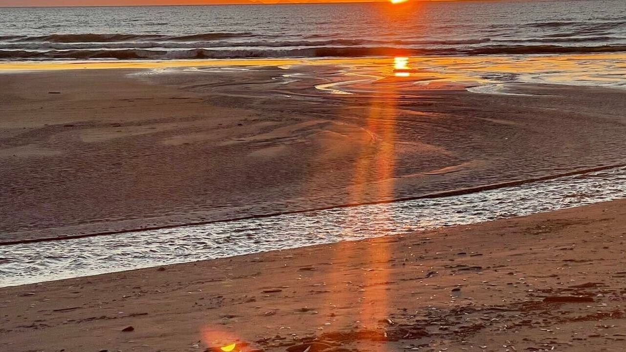 Photo of Others in Raumati South