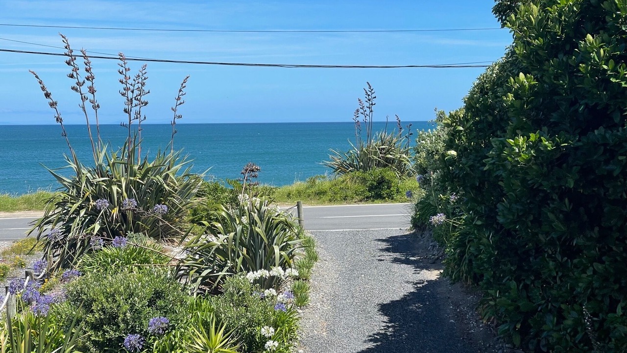 Photo of Outdoor in Raumati South