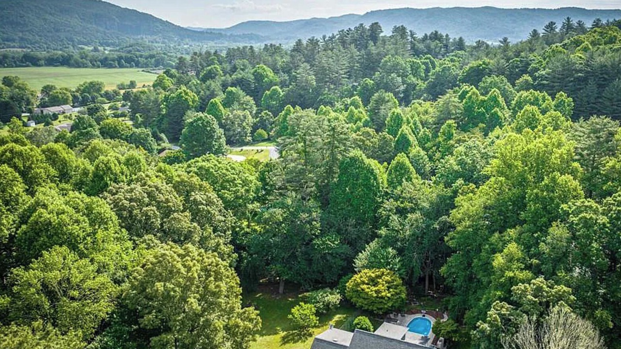 Photo of Outdoor in Pisgah Forest