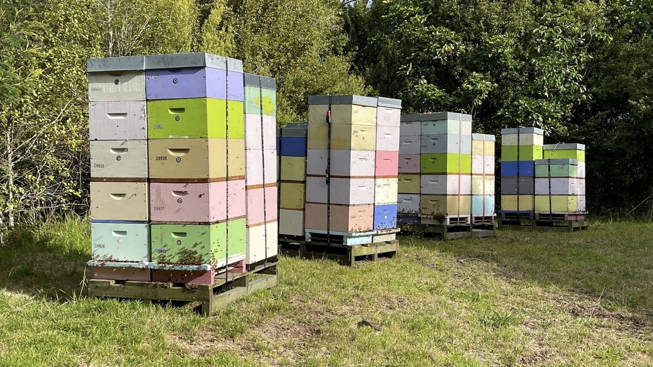 Photo of Others in Nukuhou