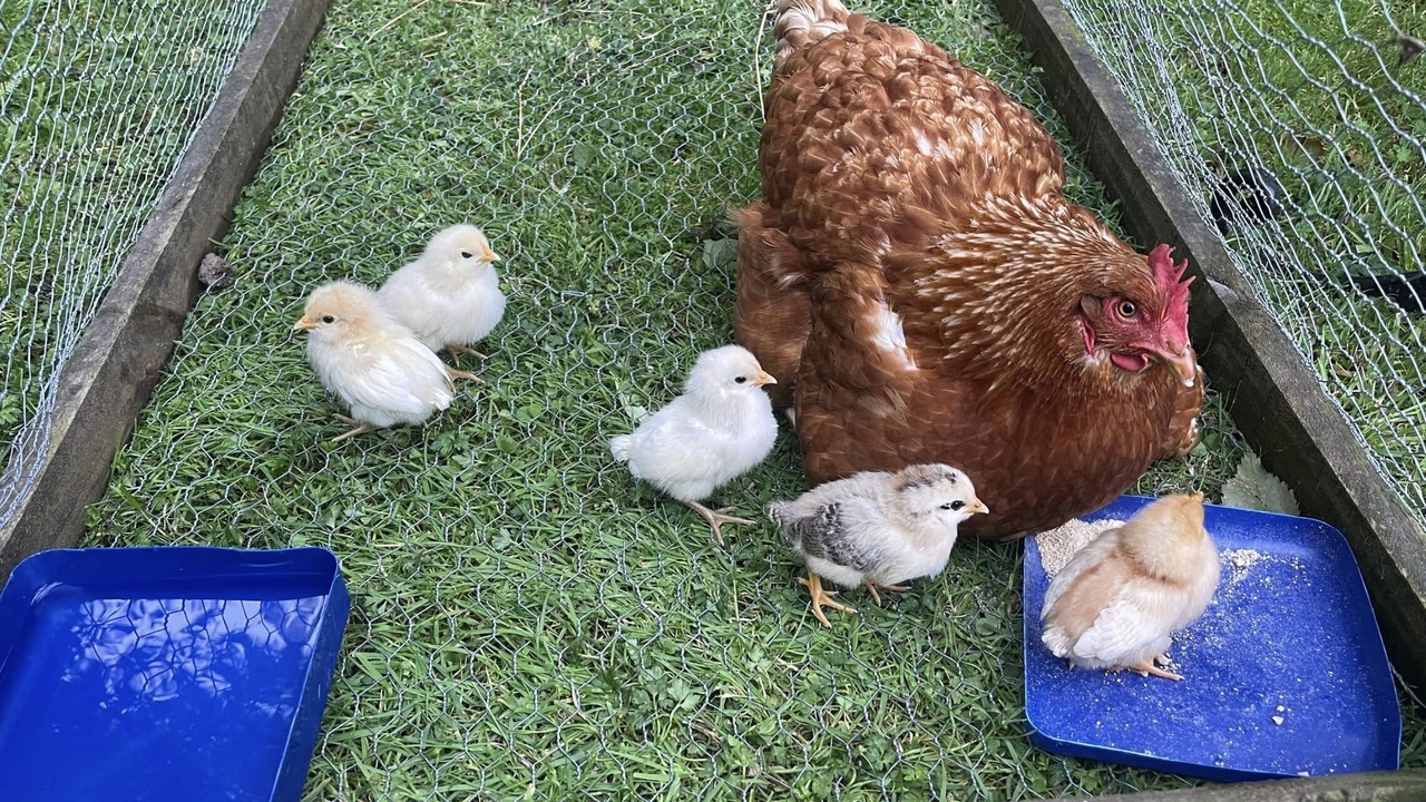 Photo of Outdoor in Nukuhou