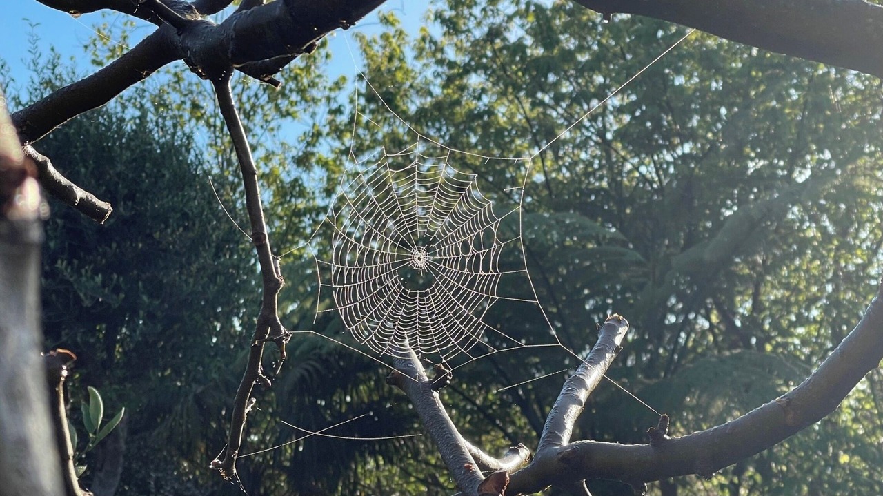 Photo of Outdoor in Nukuhou