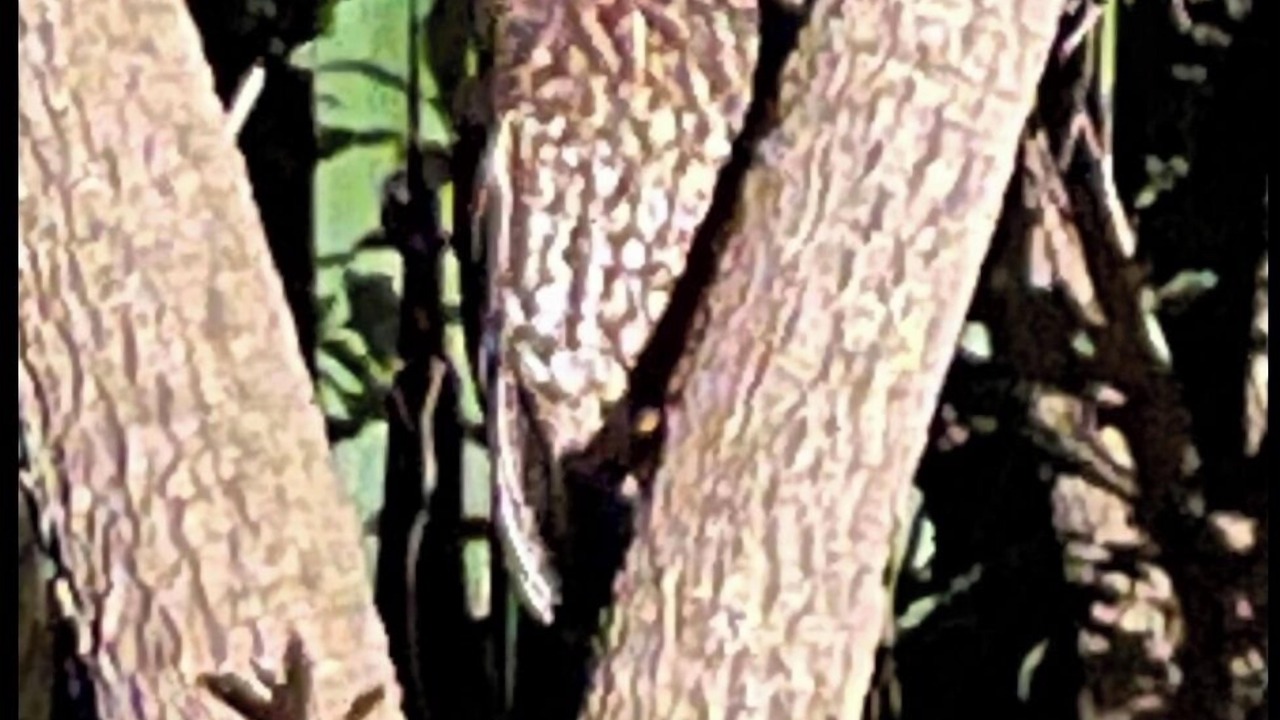 Photo of Outdoor in Nukuhou