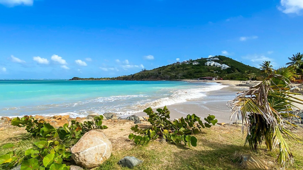 Photo of Others in La Savane