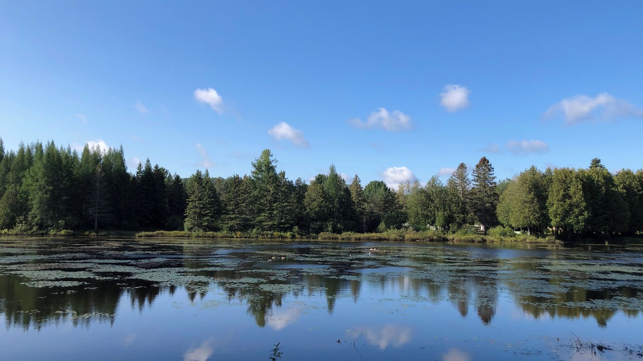 Photo of Others in Val Morin