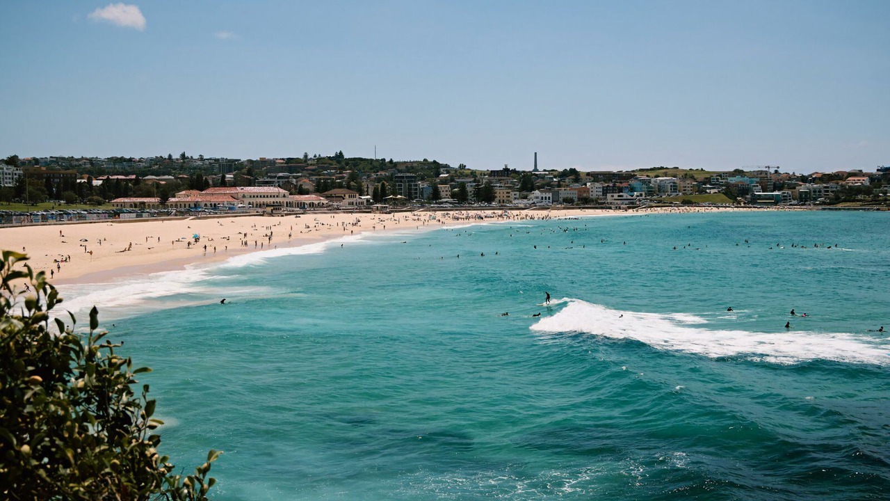 Photo of Others in Bondi
