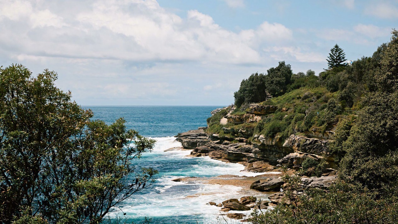 Photo of Others in Bondi