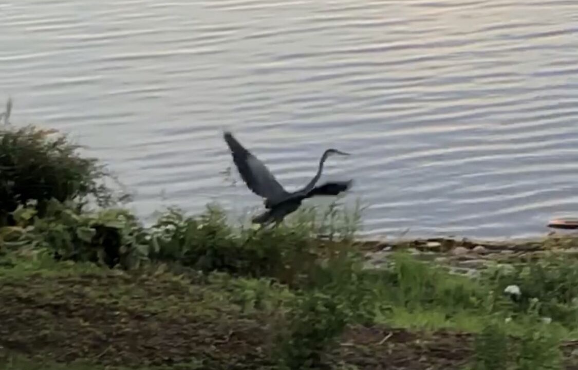 Photo of Outdoor in Barrie