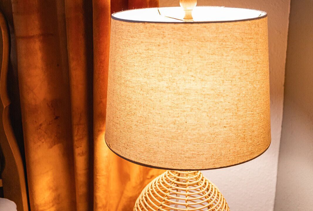 Photo of Others in Springfield