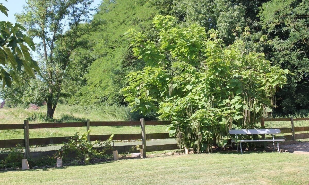 Photo of Outdoor in Pierre-de-Bresse