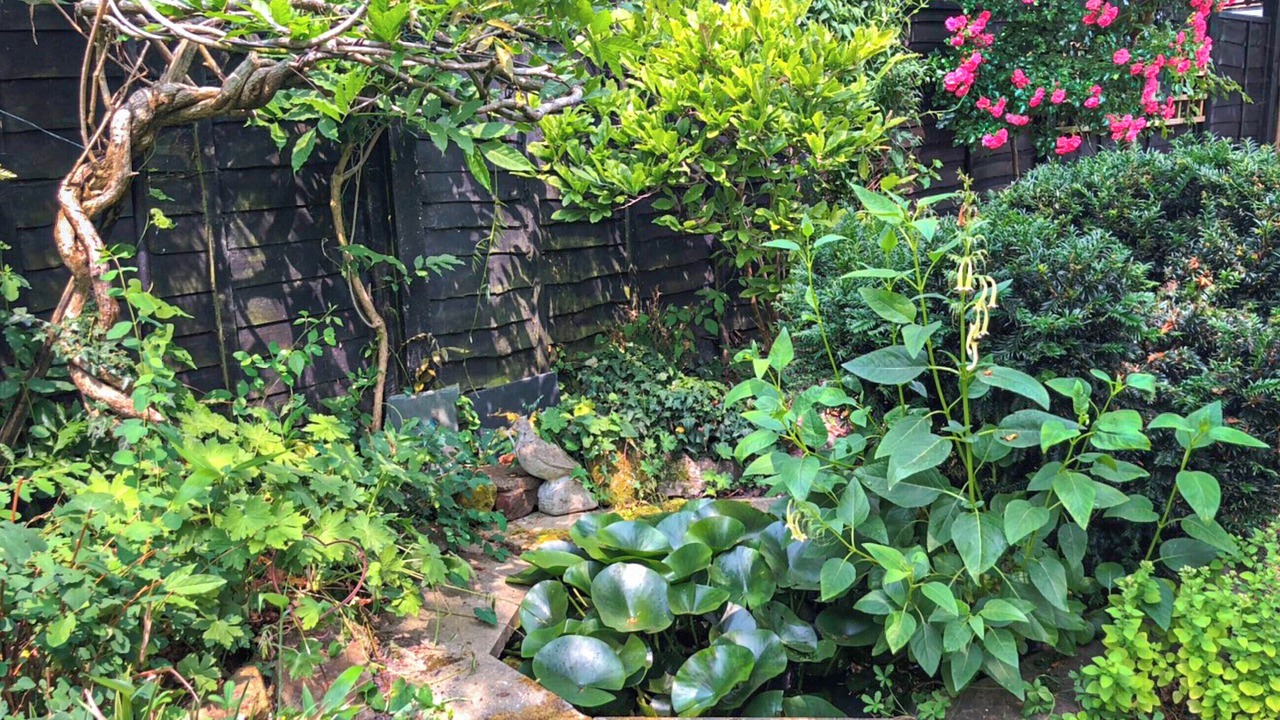 Photo of Outdoor in Wittersham