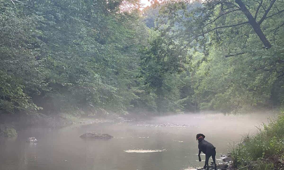 Photo of Outdoor in Edray