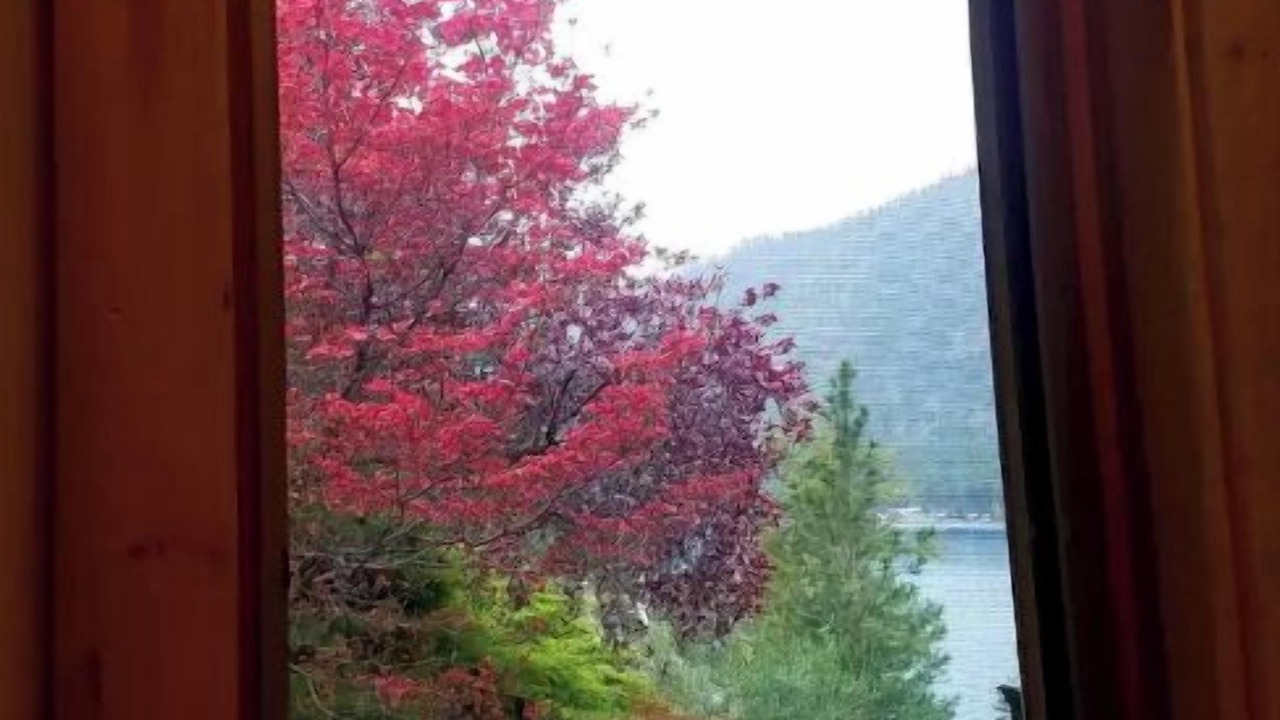 Photo of Others in Ardenvoir