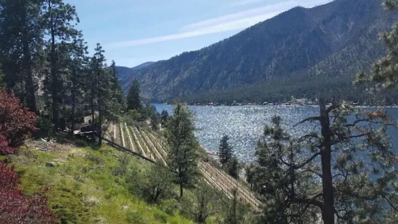 Photo of Others in Ardenvoir