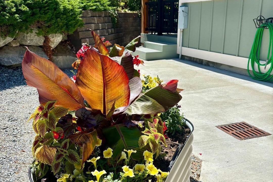 Photo of Outdoor in Ardenvoir