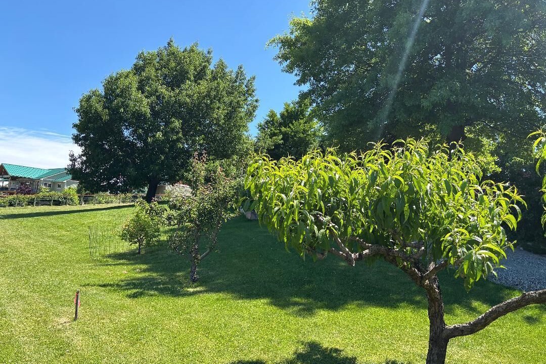 Photo of Outdoor in Ardenvoir