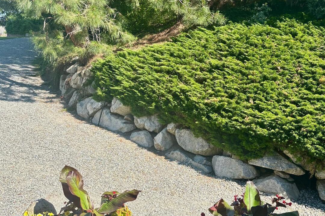 Photo of Outdoor in Ardenvoir