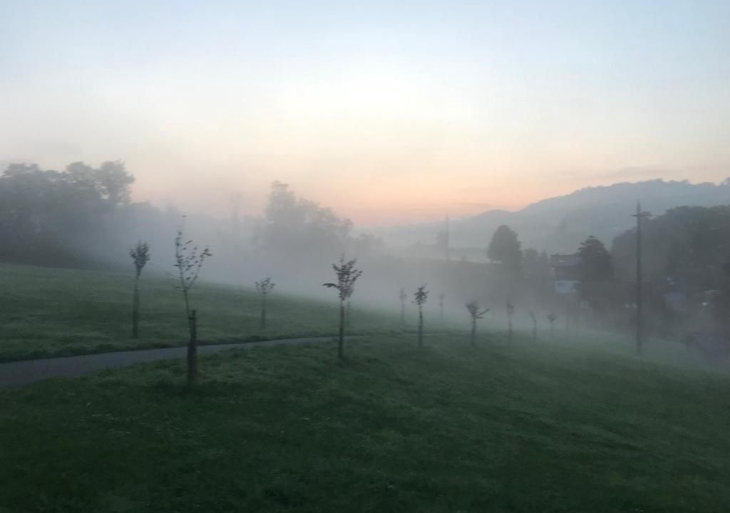 Photo of Others in Neckertal