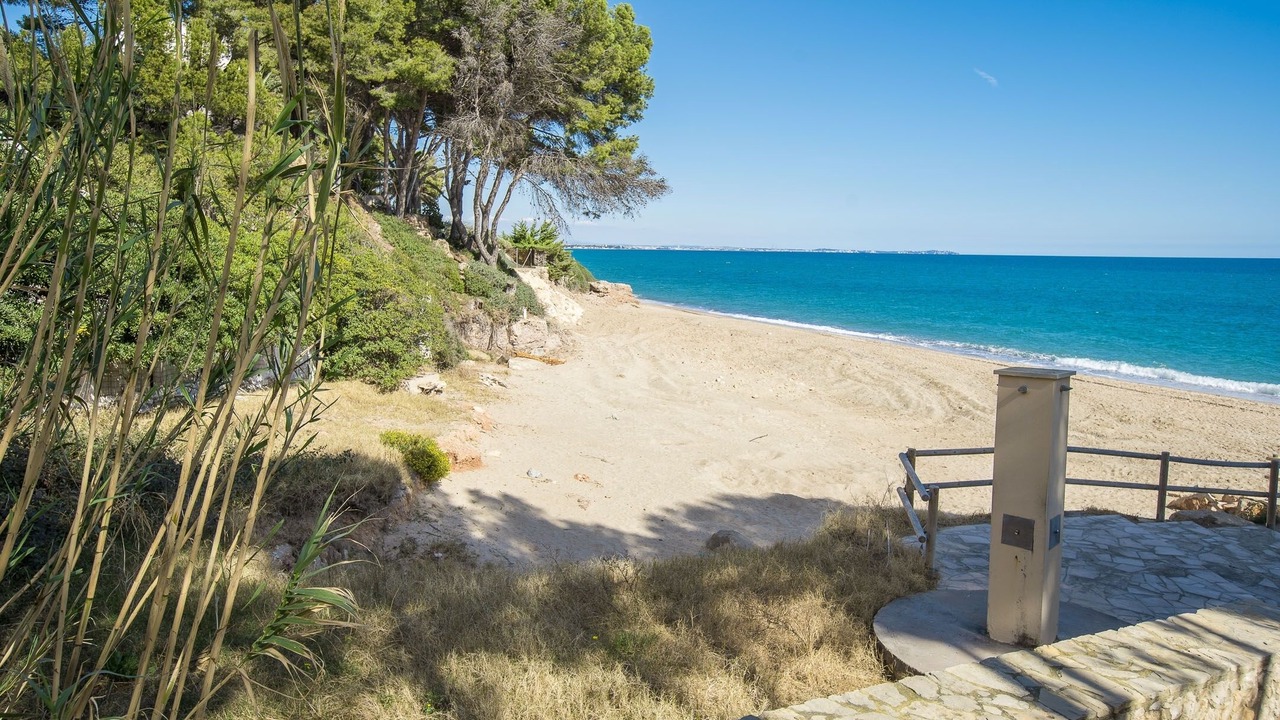 Photo of Others in Miami Platja