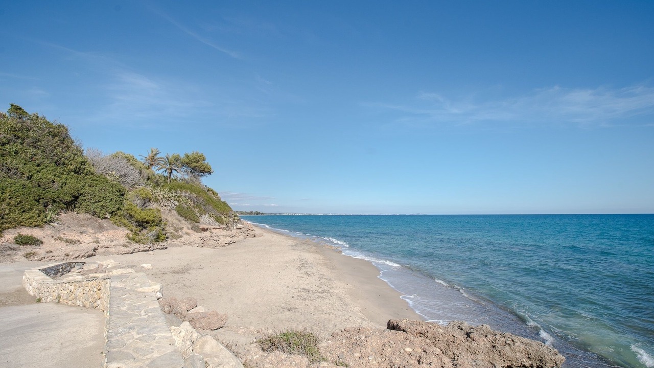 Photo of Others in Miami Platja