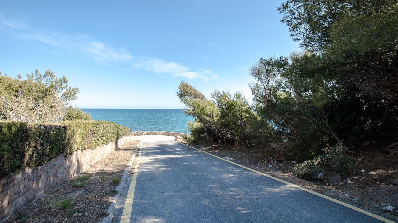 Photo of Others in Miami Platja
