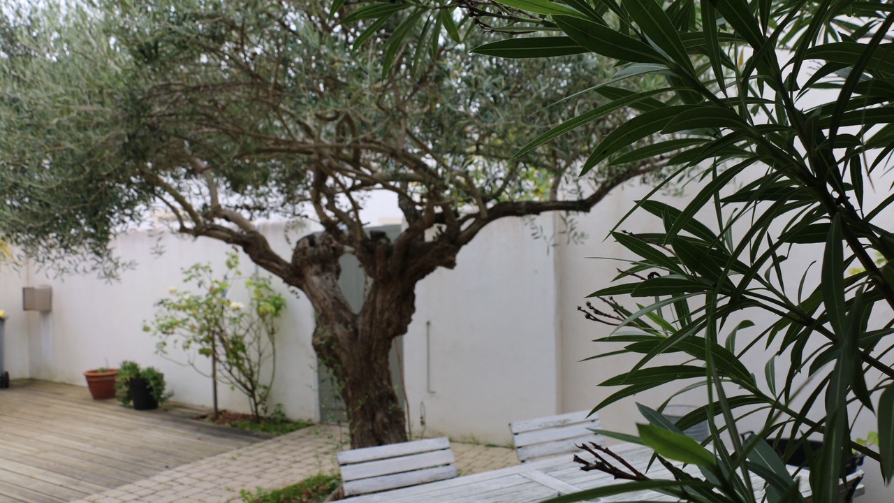 Photo of Outdoor in Saint-Clement-des-Baleines