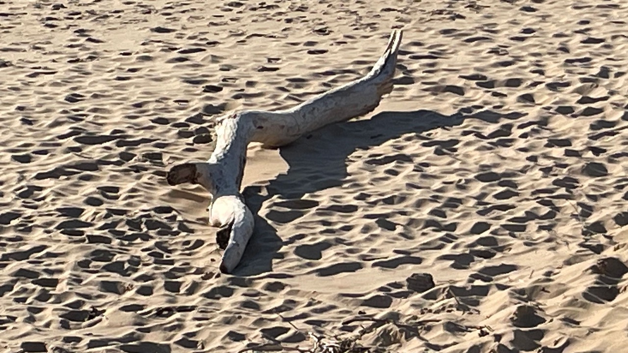 Photo of Others in Saint-Clement-des-Baleines