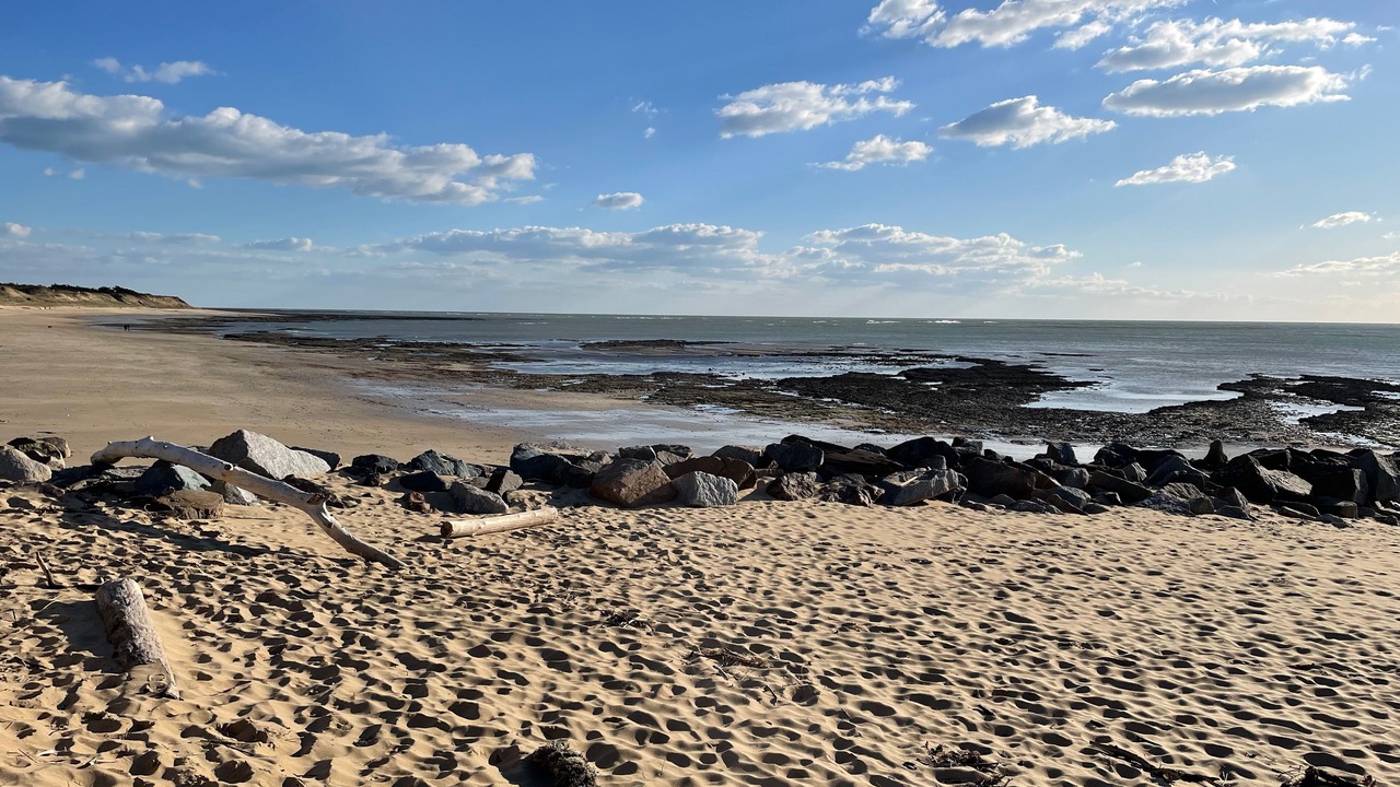 Photo of Others in Saint-Clement-des-Baleines