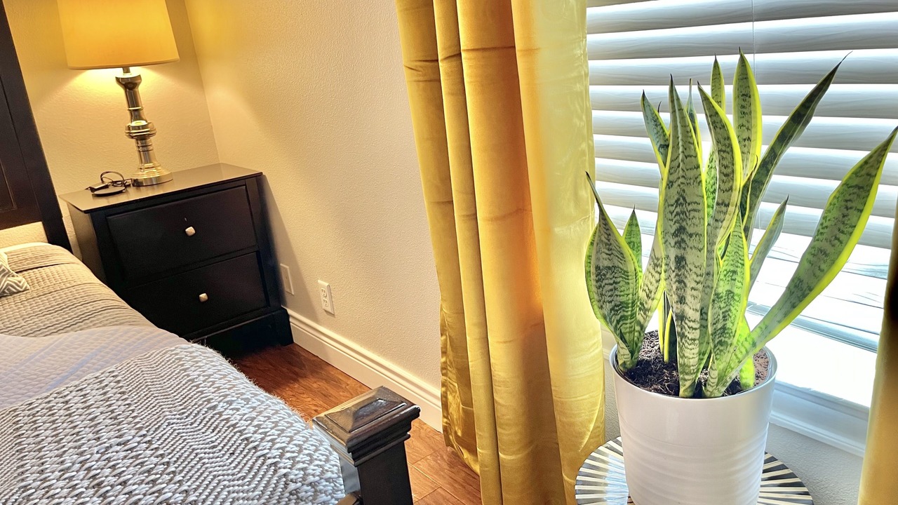 Photo of Bedroom in South Manchaca