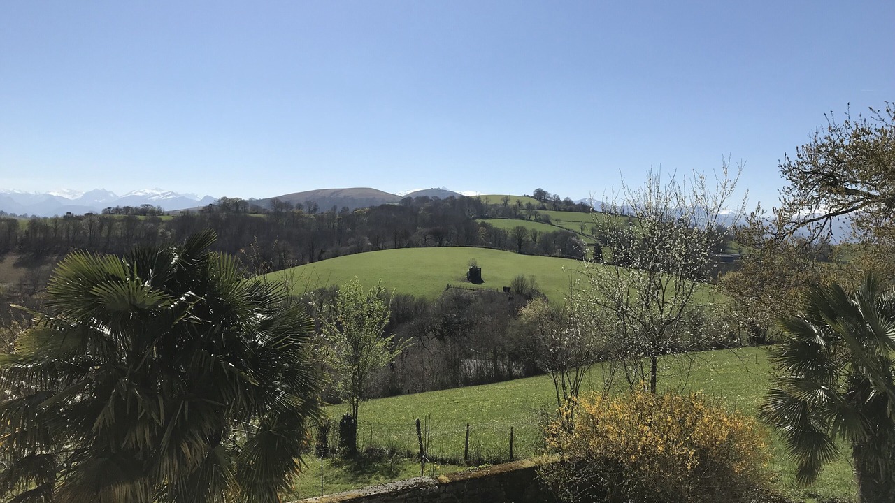 Photo of Others in Menditte