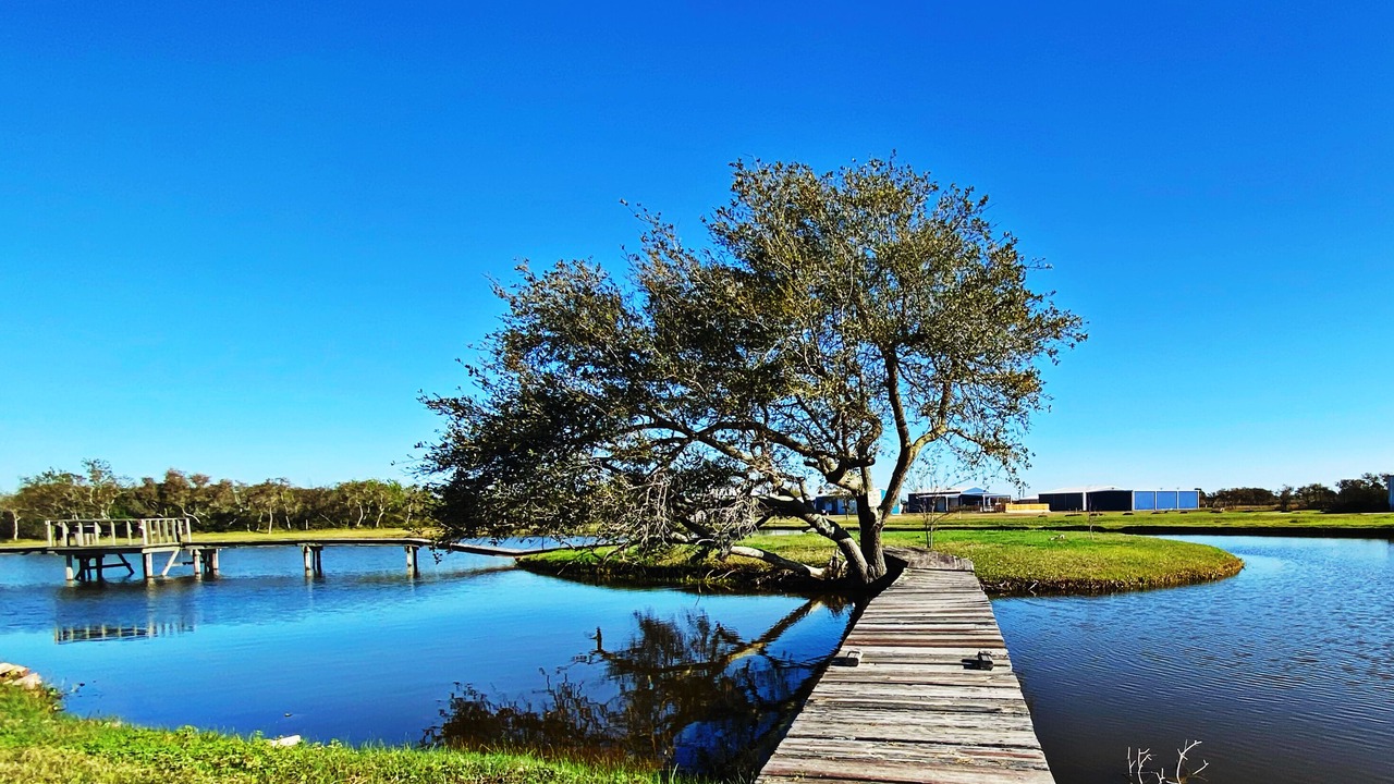 Photo of Outdoor in Port O Connor