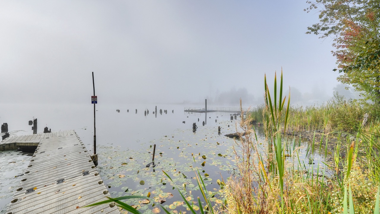 Photo of Others in Clear Lake