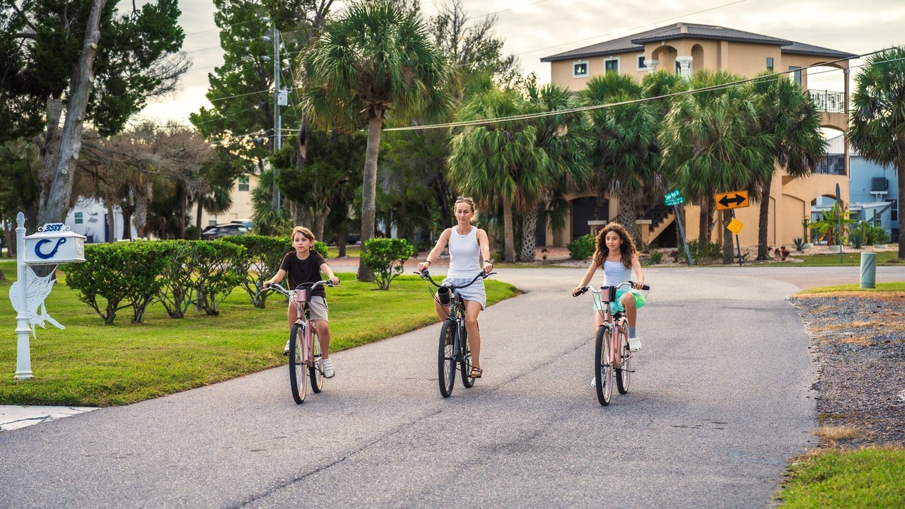 Photo of Others in Spring Hill