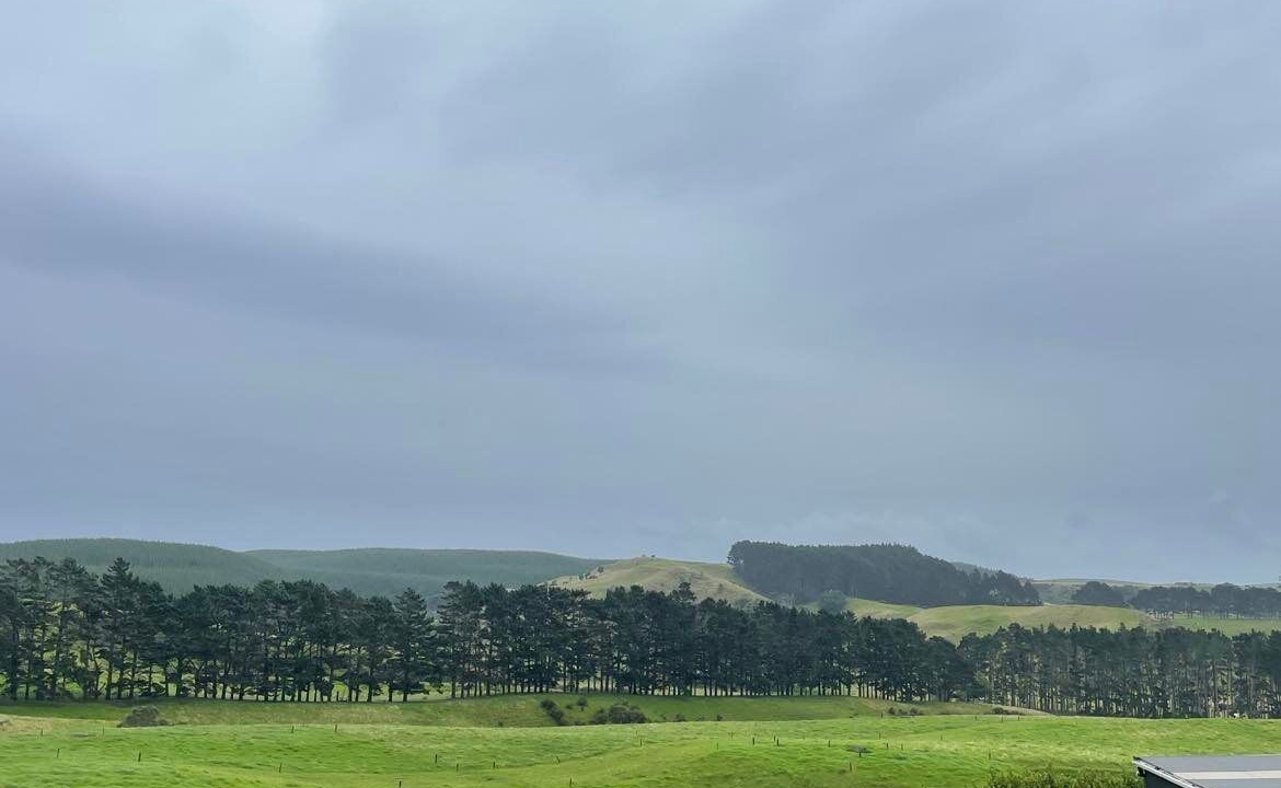 Photo of Outdoor in Helensville