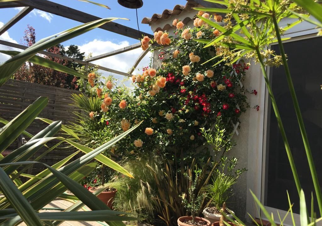Photo of Outdoor in Saintes-Maries-de-la-Mer