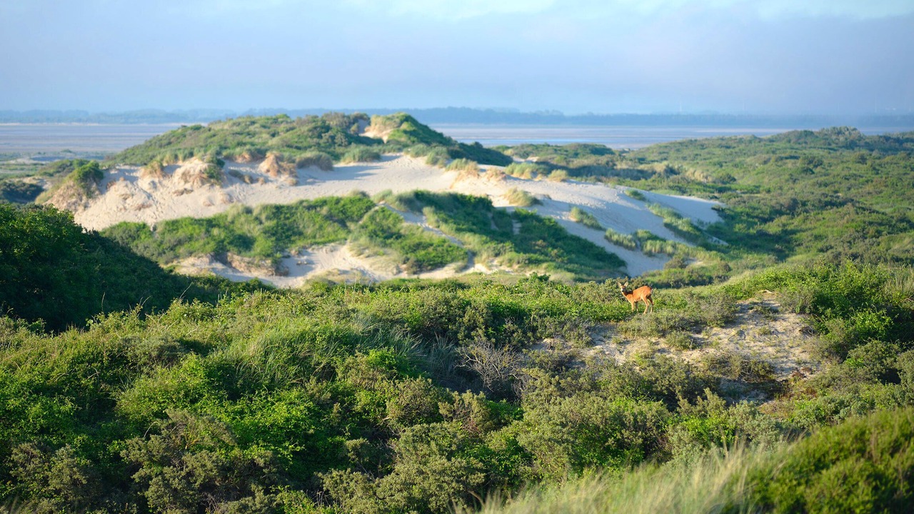 Photo of Outdoor in Cayeux-sur-Mer
