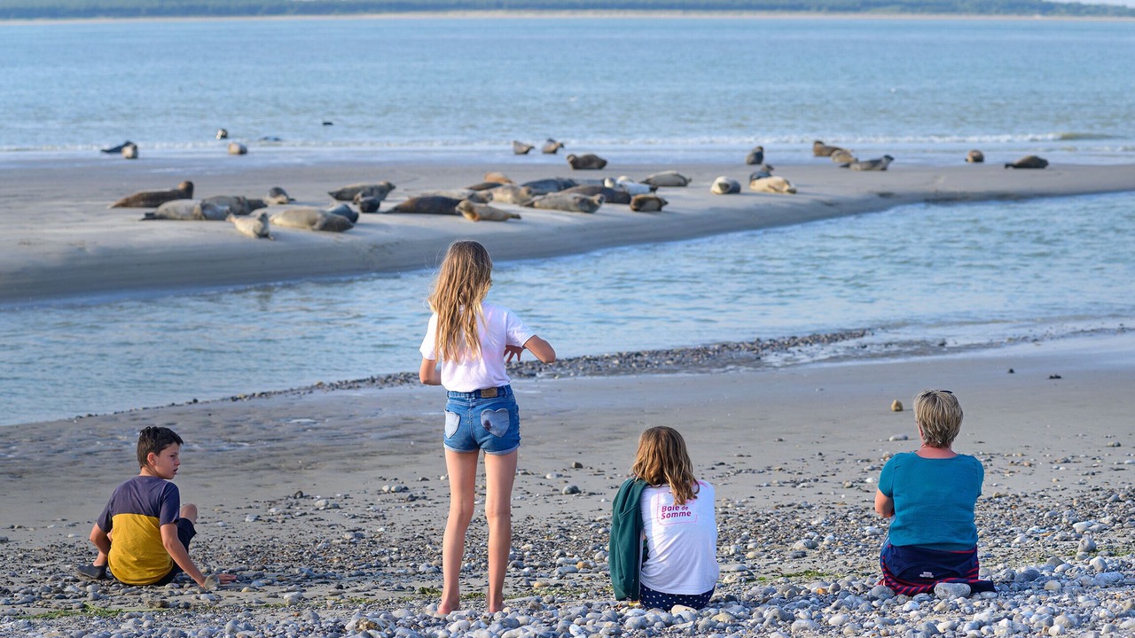 Photo of Others in Cayeux-sur-Mer