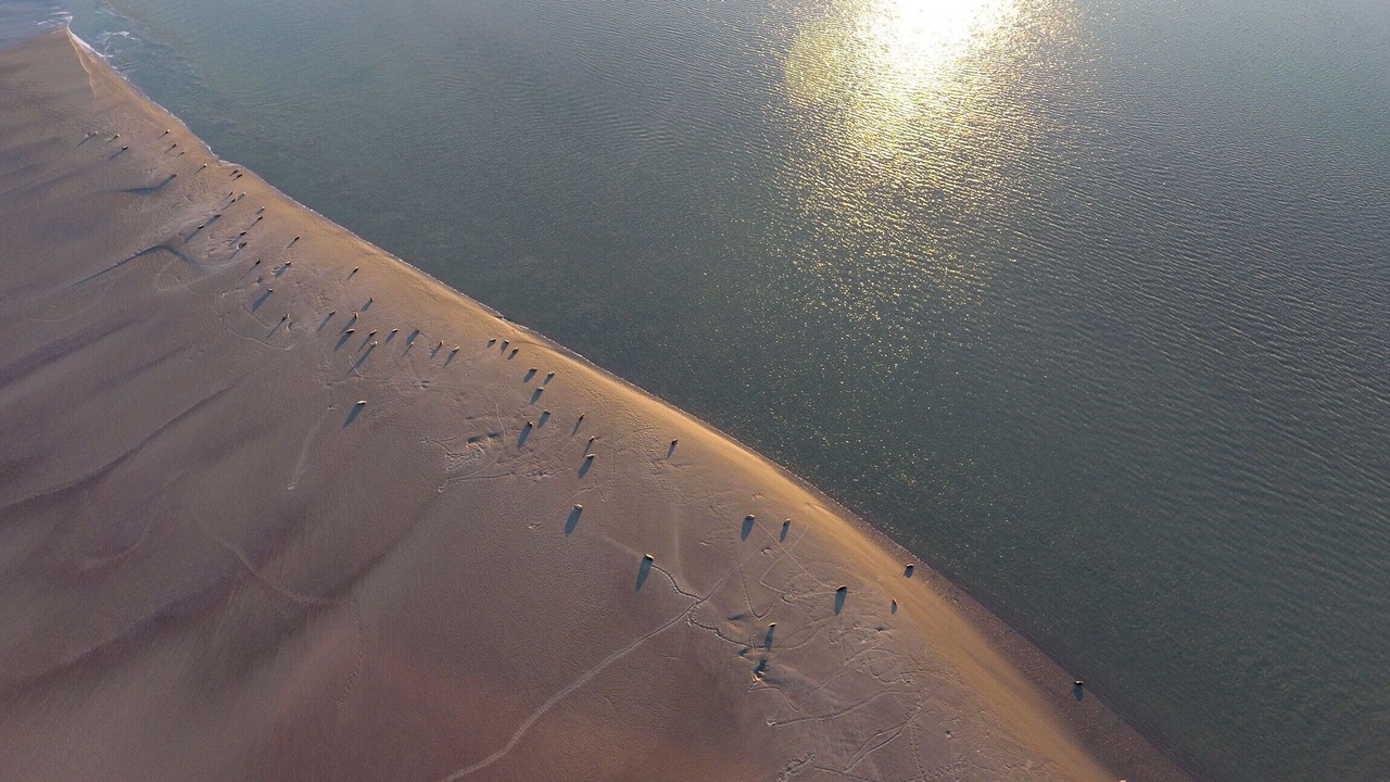 Photo of Others in Cayeux-sur-Mer