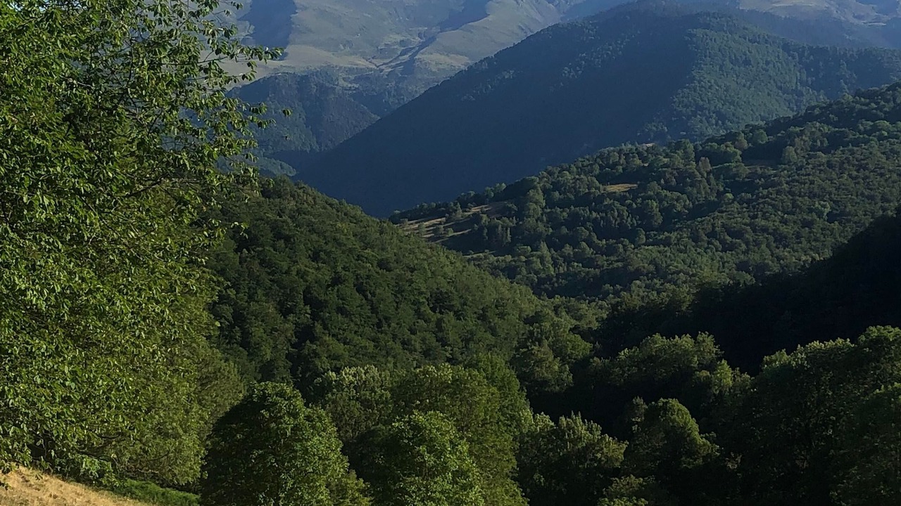 Photo of Outdoor in Saint-Lary