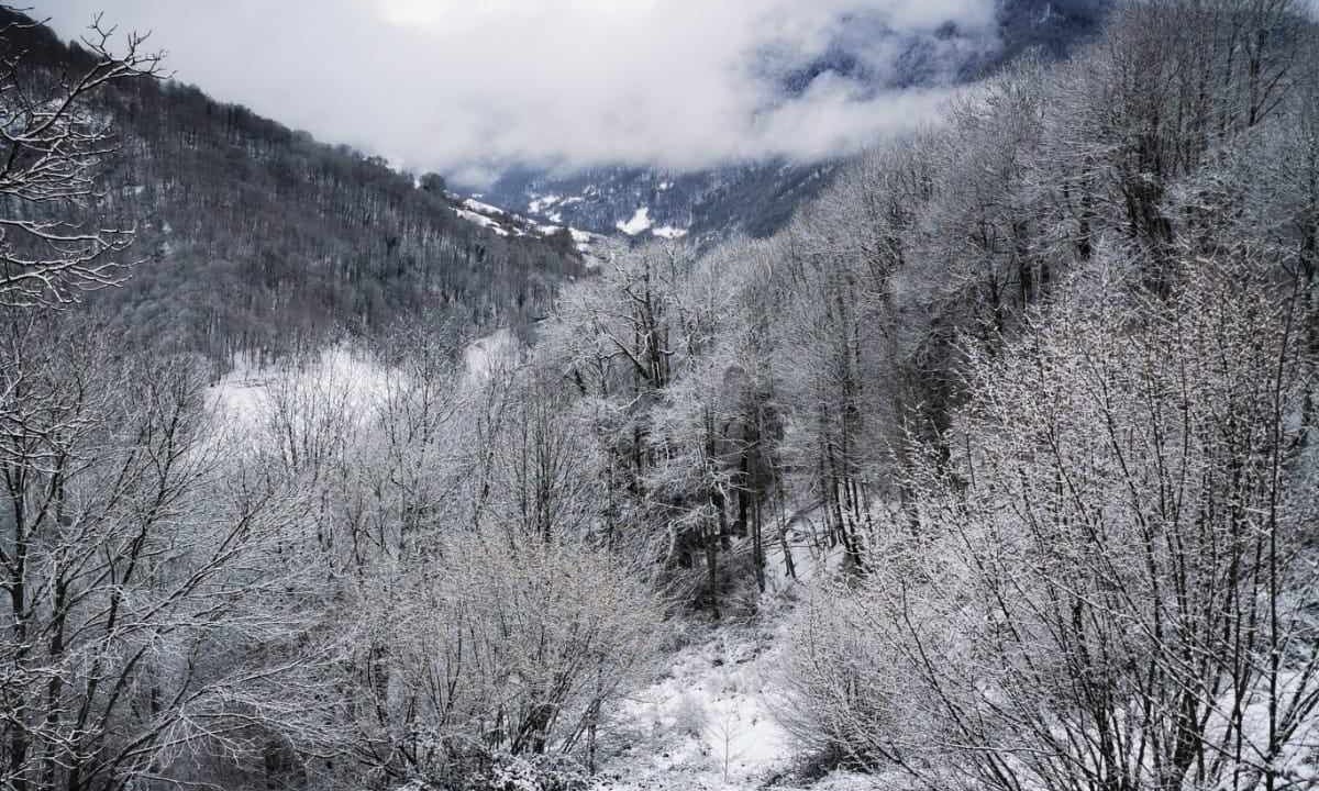 Photo of Others in Saint-Lary