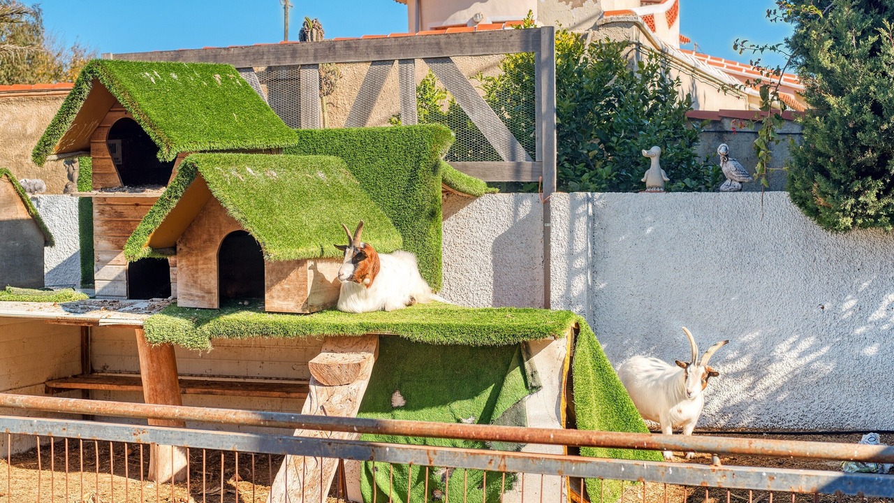 Photo of Outdoor in Les Deveses